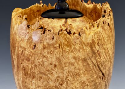 Bigleaf Maple Burl Hollow Form With Ebony Lid 6-5/8 x 4-3/8 D $150